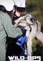 Watch Wild Ops Gomovies