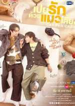 Watch Cat for Cash Gomovies