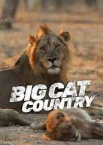 Watch Big Cat Country Gomovies