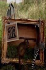 Watch Anna's Wild Life Gomovies