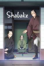 Watch Shabake Gomovies