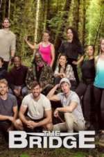 Watch The Bridge Gomovies