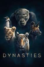 Watch Dynasties Gomovies