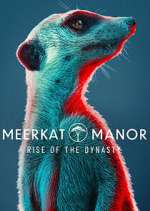 Watch Meerkat Manor: Rise of the Dynasty Gomovies