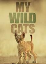 Watch My Wild Cats Gomovies