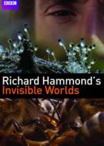 Watch Richard Hammond's Invisible Worlds Gomovies
