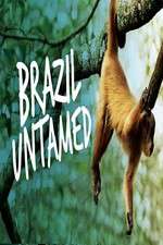 Watch Brazil Untamed Gomovies