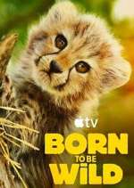 Watch Born to Be Wild Gomovies