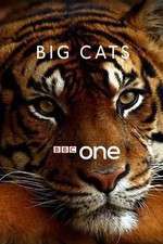 Watch Big Cats Gomovies