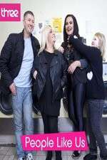 Watch People Like Us Gomovies