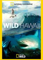 Watch Wild Hawaii Gomovies