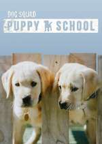 Watch Dog Squad: Puppy School Gomovies