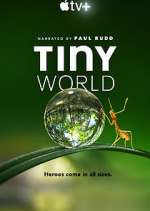 Watch Tiny World Gomovies