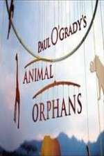Watch Paul O'Grady's Animal Orphans Gomovies