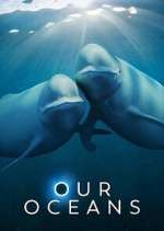 Watch Our Oceans Gomovies
