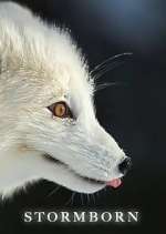 Watch Stormborn Gomovies