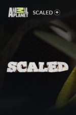Watch Scaled Gomovies