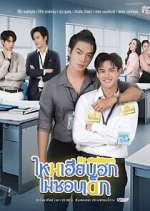 Watch My Stubborn Gomovies