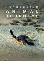 Watch Incredible Animal Journeys Gomovies