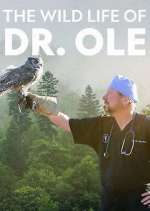 Watch The Wild Life of Dr. Ole Gomovies