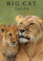 Watch Big Cat Tales Gomovies