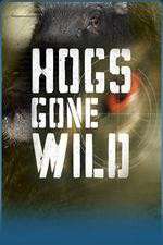 Watch Hogs Gone Wild Gomovies