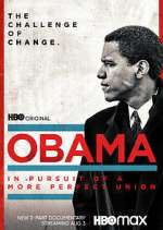 Watch Obama: In Pursuit of a More Perfect Union Gomovies
