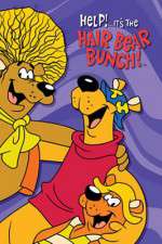 Watch Help!... It's the Hair Bear Bunch Gomovies