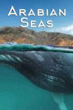 Watch Arabian Seas Gomovies