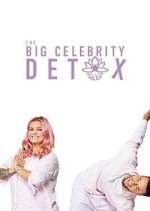 Watch The Big Celebrity Detox Gomovies