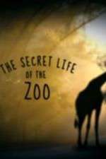 Watch The Secret Life of the Zoo Gomovies