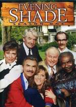 Watch Evening Shade Gomovies