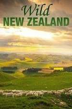 Watch Wild New Zealand Gomovies